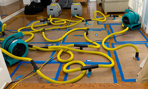 Professional Storm Water Damage Restoration technician working in Glen Rock, NJ